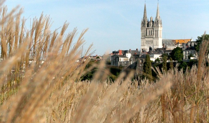 Déambulations angevines