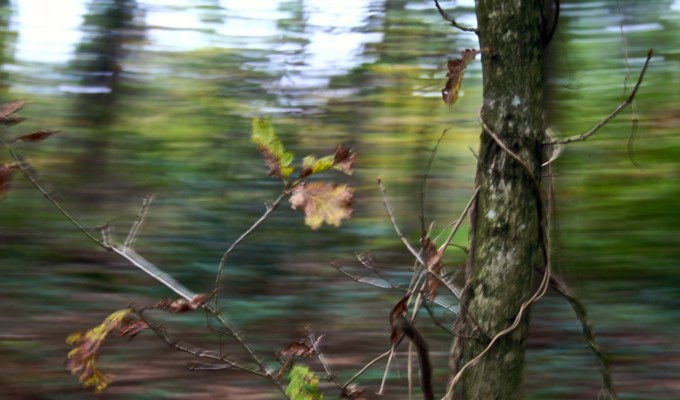 Entre automne et hiver Entre automne et hiver