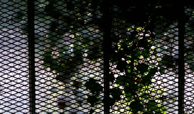 Le blues du&nbsp;cheminot